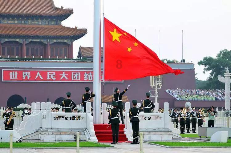 救援达尔马提亚狗